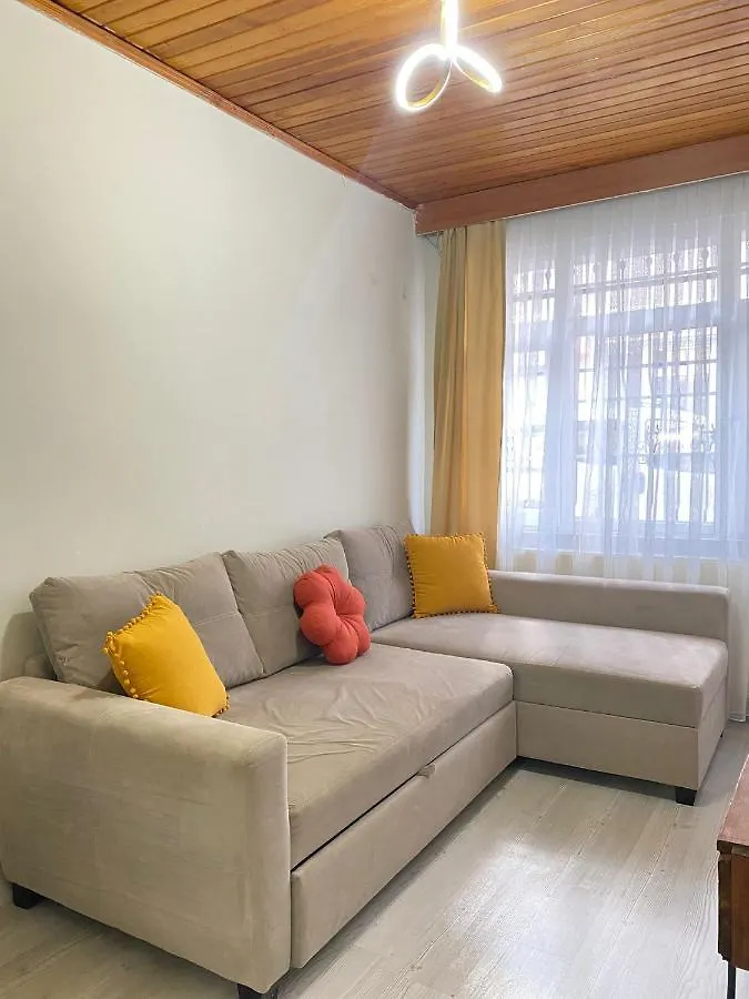 伊斯坦布尔Demirtas House公寓 公寓 伊斯坦布尔