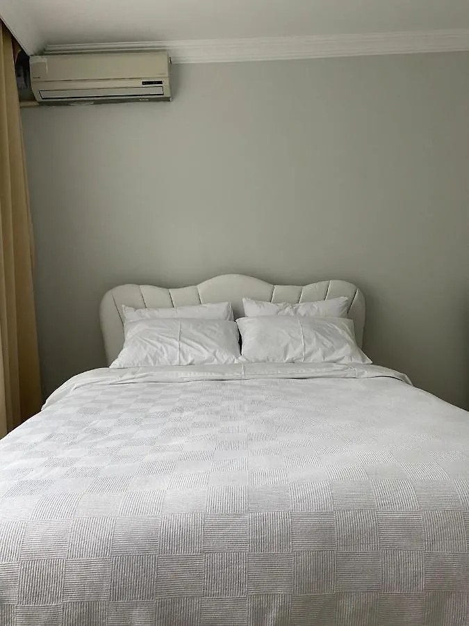 Demirtas House Apartment Istanbul 0*,