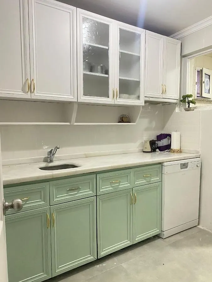 Demirtas House Apartment Istanbul