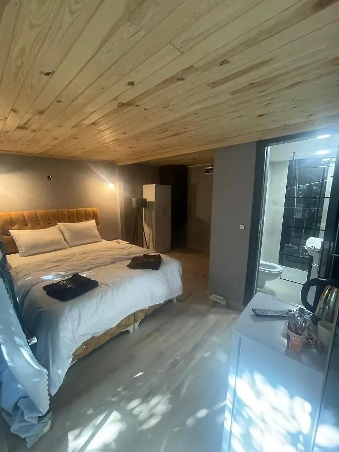 Demirtas House Apartment Istanbul Turkey
