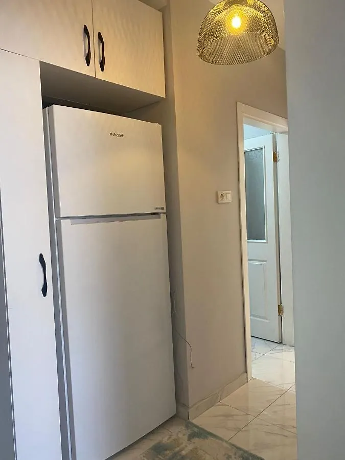Demirtas House Apartment Istanbul 0*,