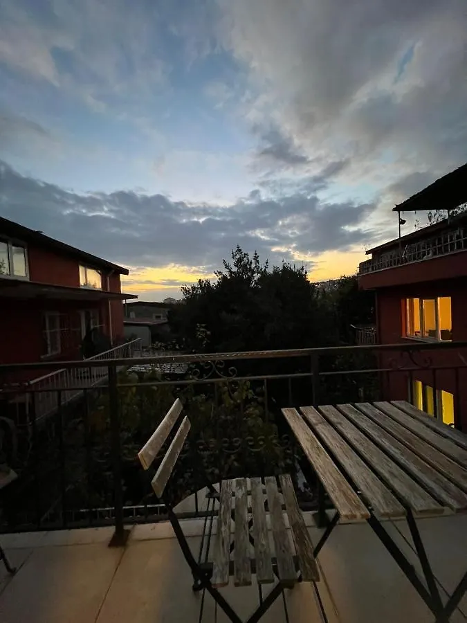 Demirtas House Apartment Istanbul 0*,