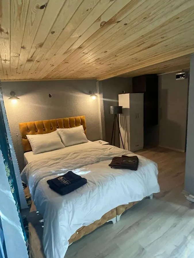Demirtas House Apartment Istanbul 0*,