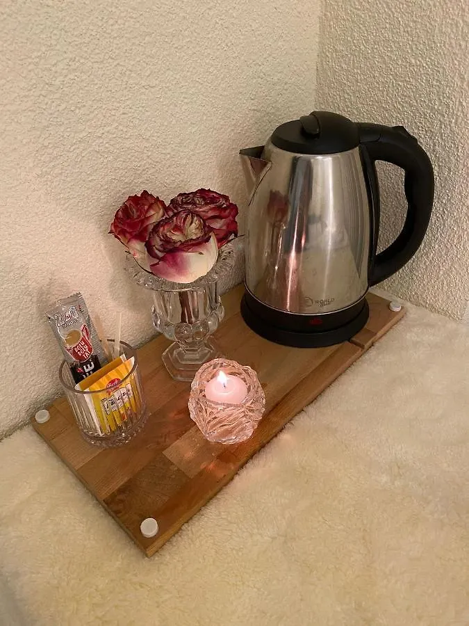 Demirtas House Apartment Istanbul